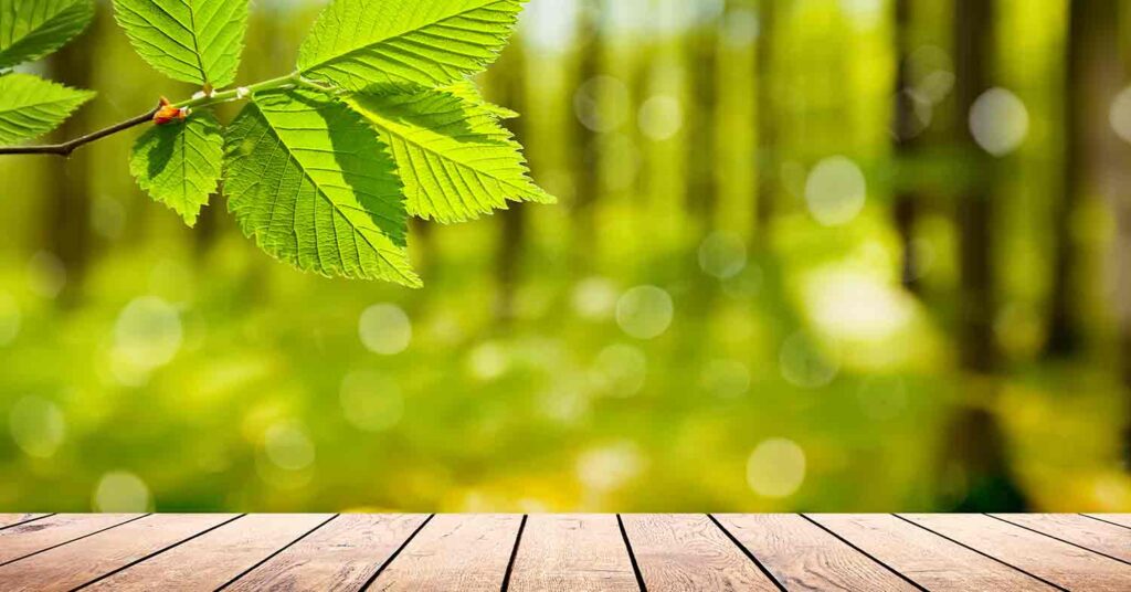Blurry Nature background with a wooden surface in the bottom