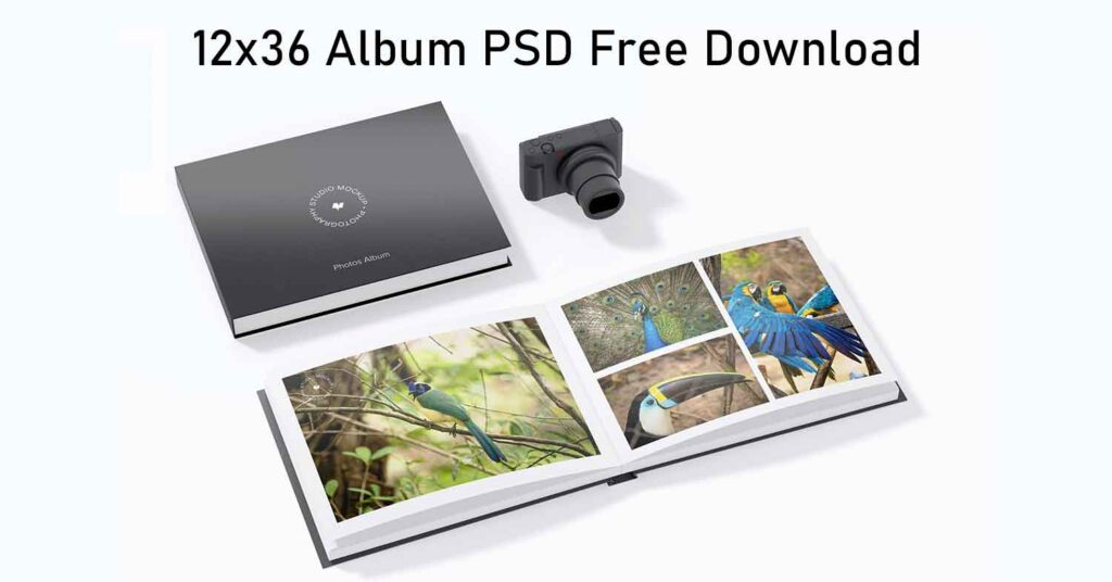 12x36 Album PSD