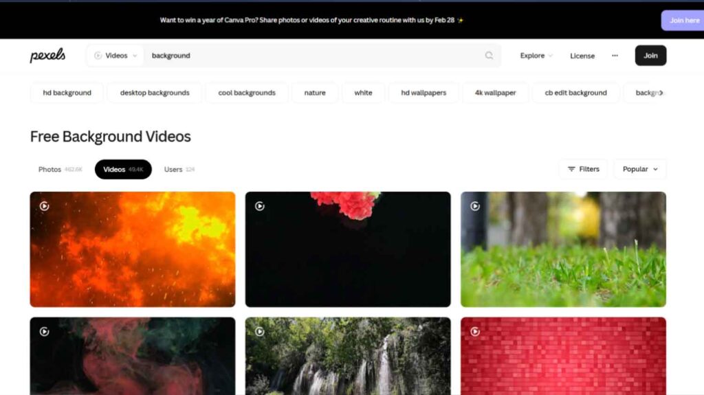 pexels website